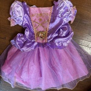 Disney Lavender and Pink Princess Costume